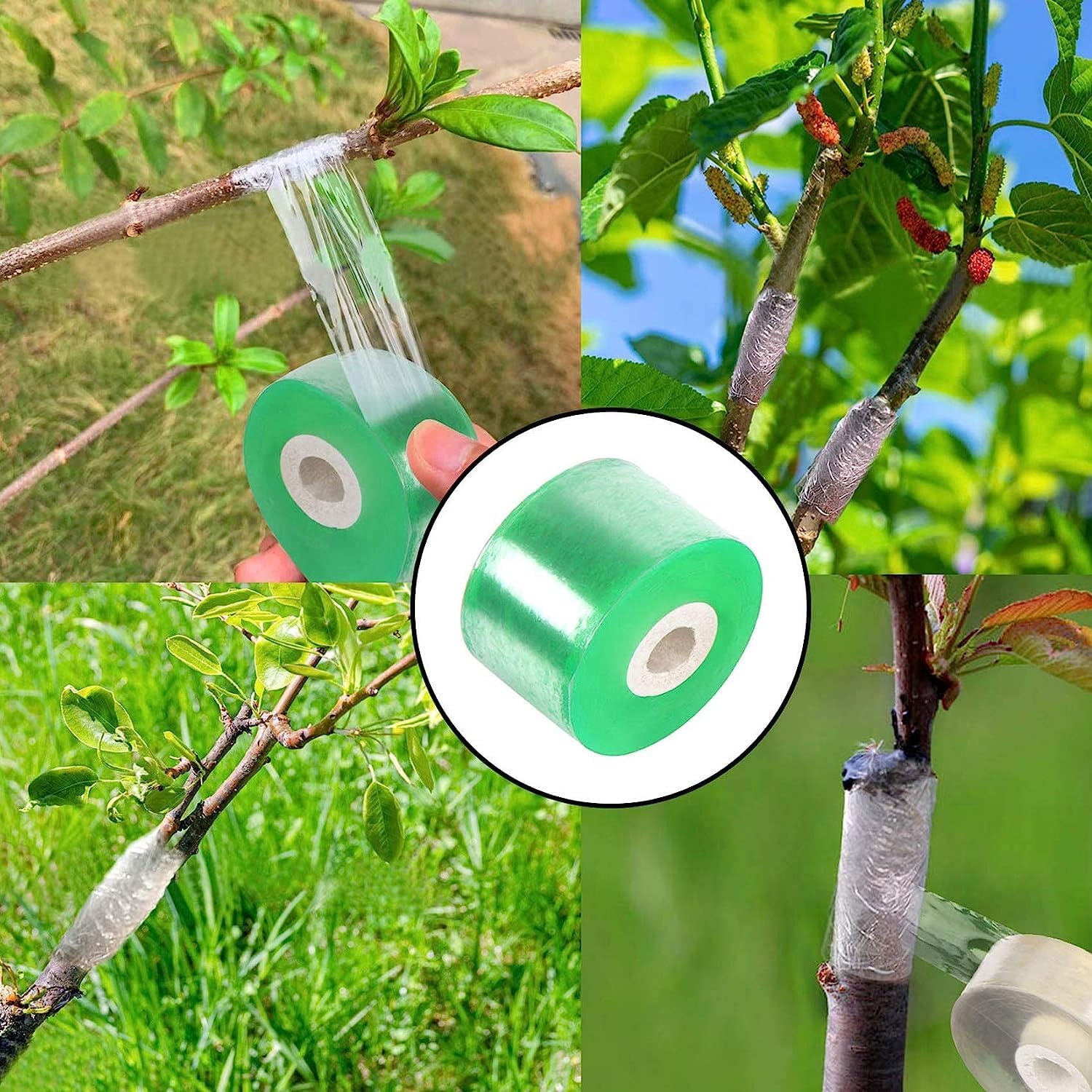 Nastro Per Innesti 3 Cm - Autoadesivo, Biodegradabile, Per Giardinaggio - Foto 2