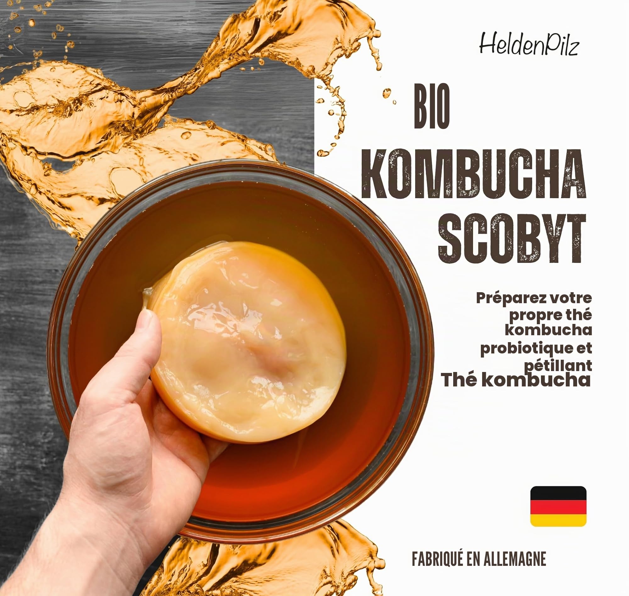 HeldenPilz® Champignon à thé bio Kombucha - Scoby vital et puissant avec liquide de racine | Pour 6 l de kombucha | Garantie de succès | 100 % naturel, durable