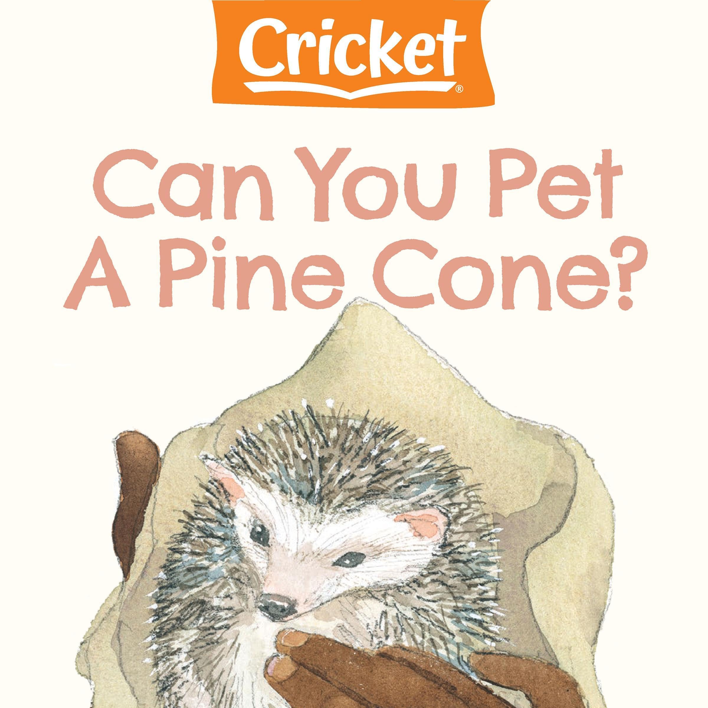 Can You Pet a Pine Cone?