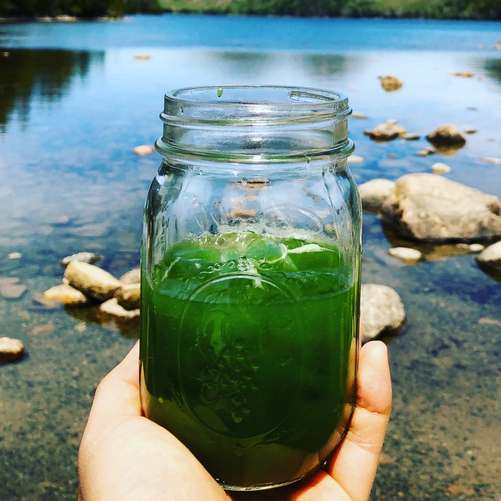 Japanese Matcha Samidori Tea Sampler Premium Matcha Sampler Makes 3 Servings Beantown Tea Spices Brand Matcha Samidori — view 3