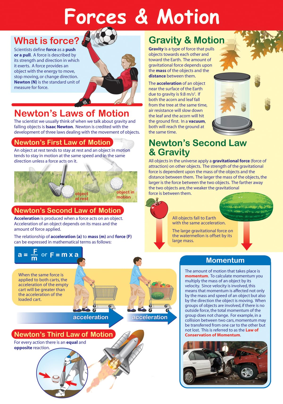 New Path Learning Forces & Motion Poster - Laminated, Full-Color, 23" x 35"