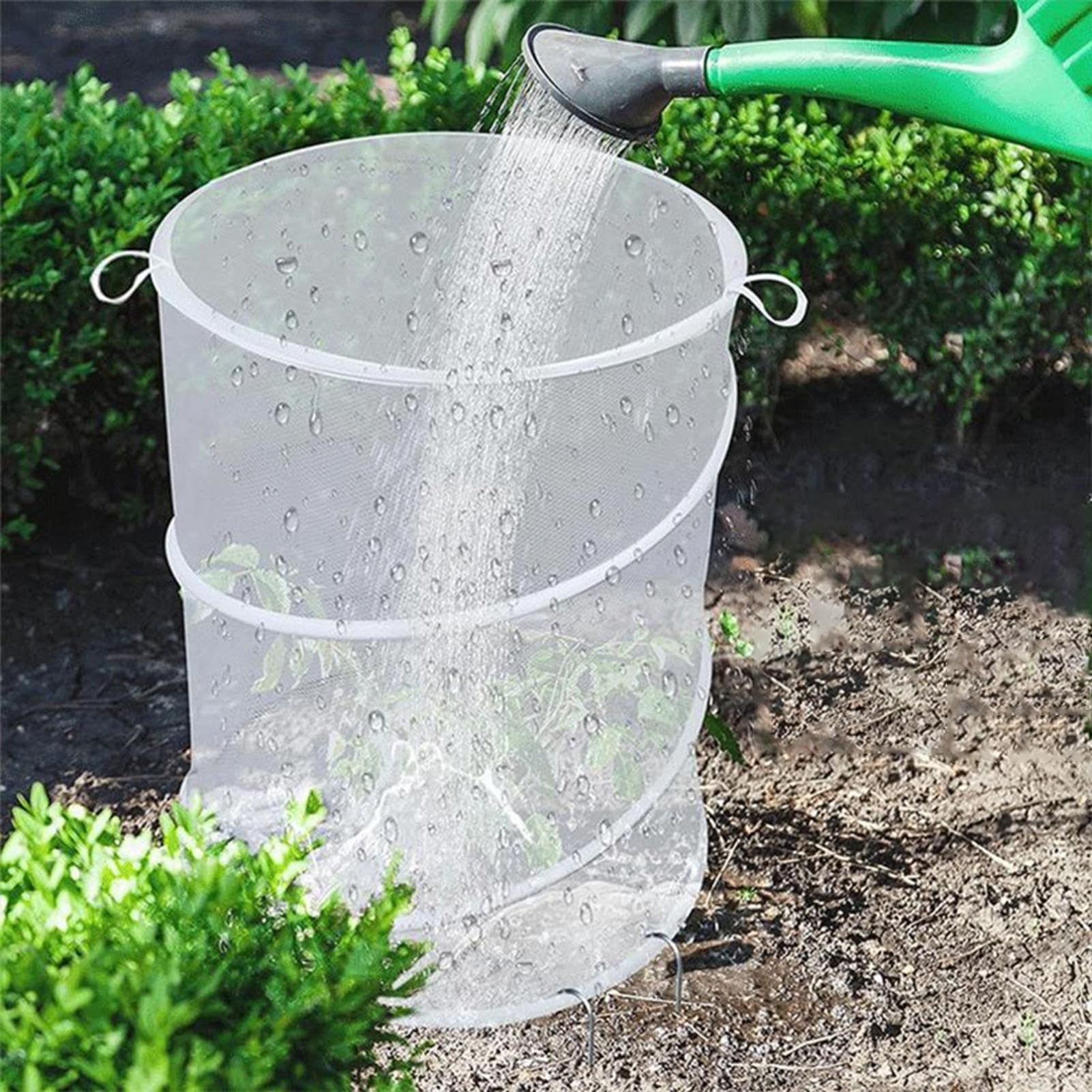 Protection Maillée Végétale | Enclos Maille Végétal Pop-Up - 4 Protections Pliables Anti-Insectes Et Oiseaux pour Myrtilles Légumes Fruits Fleurs