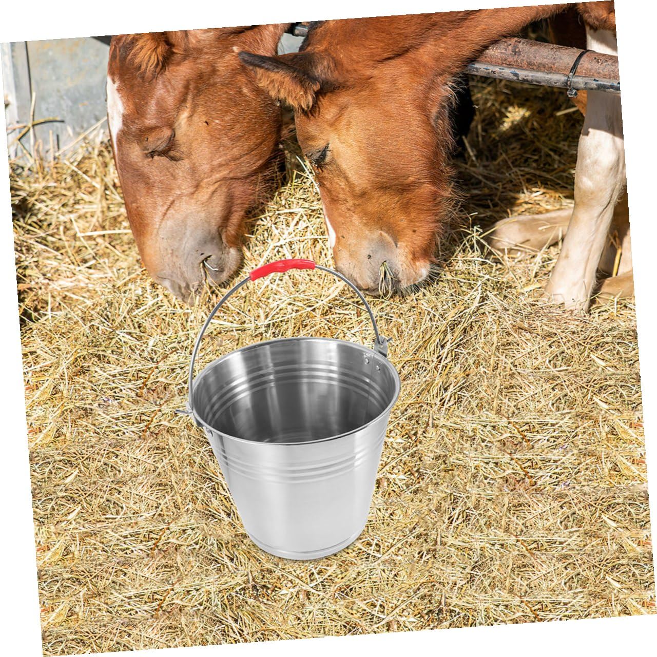 Pferdefuttereimer 10l Edelstahl mit Griff Robuster Mehrzweckeimer für Fohlenfütterung und Tränke Pflegeleichter Wassereimer für Stall und Bauernhof