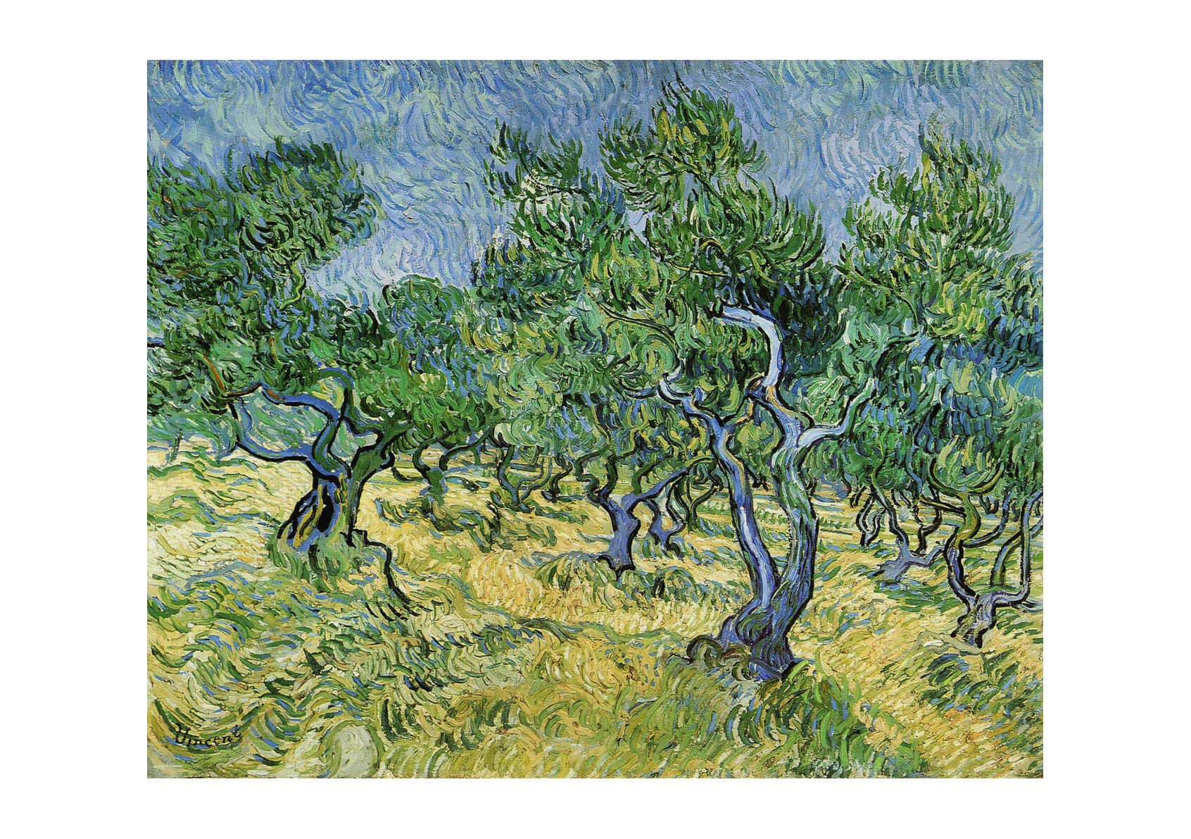Tableau Vincent Van Gogh Olive Grove encadré pour habiller un grand mur vide