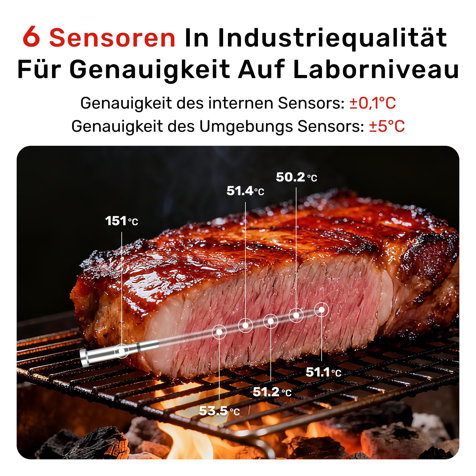 X Pro Fleischthermometer kabellos mit Bluetooth & WLAN, 2 Sonden 6 Sensoren, Einteiliges Edelstahldesign, IP69 Wasserdicht, 582°C Hitzebeständigkeit, Grill Ofen Küche Heißluftfritteuse