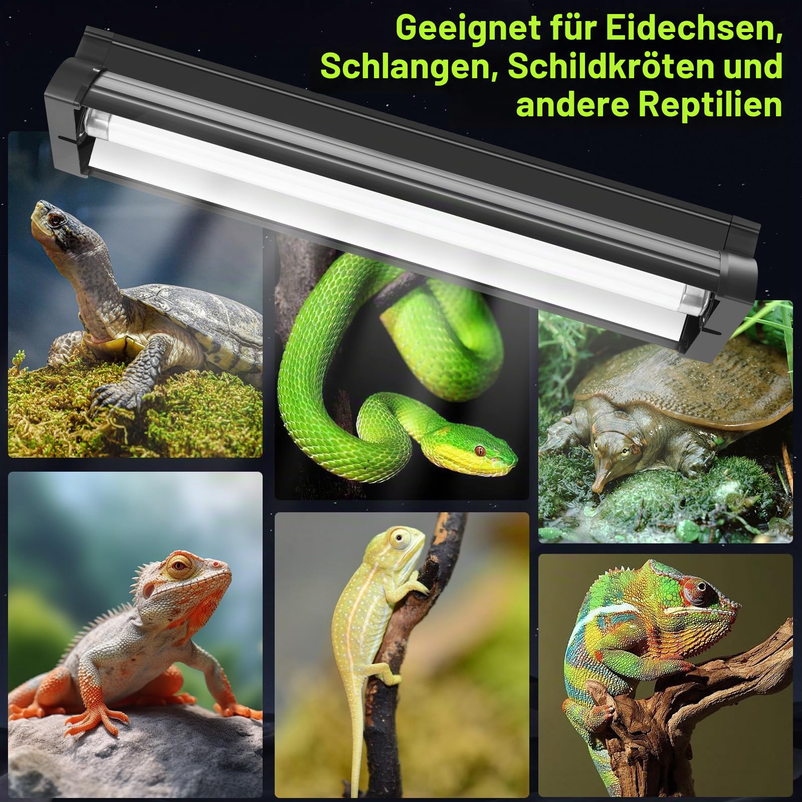 T5 UVB-Licht-Reptilien-Set 10% UVB 30% UVA 31,5 cm Hochleistungshalterung für Bartagamen Eidechsen Schildkröten