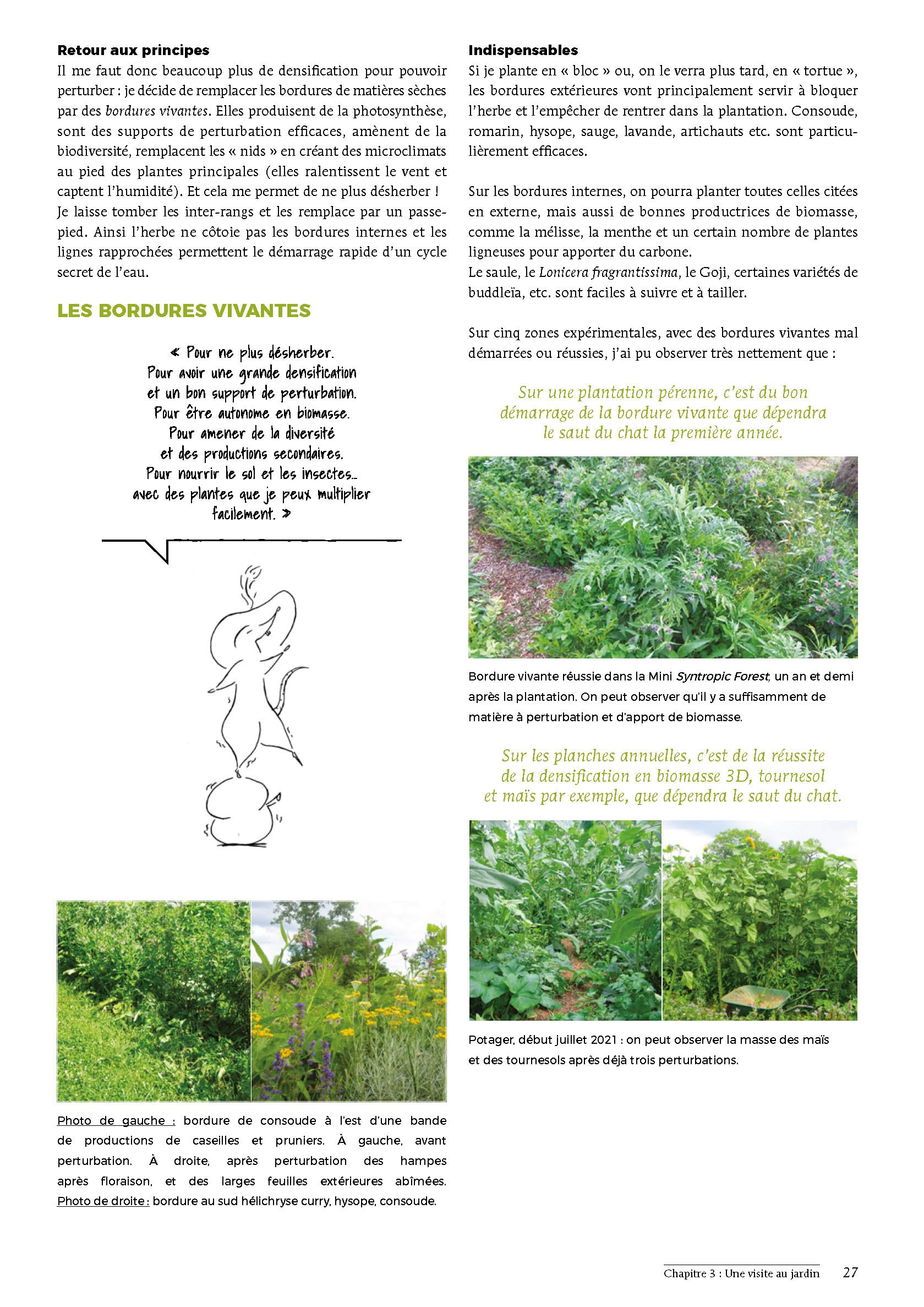 Bienvenue en syntropie: Un jardin d'abondance, des principes au terrain