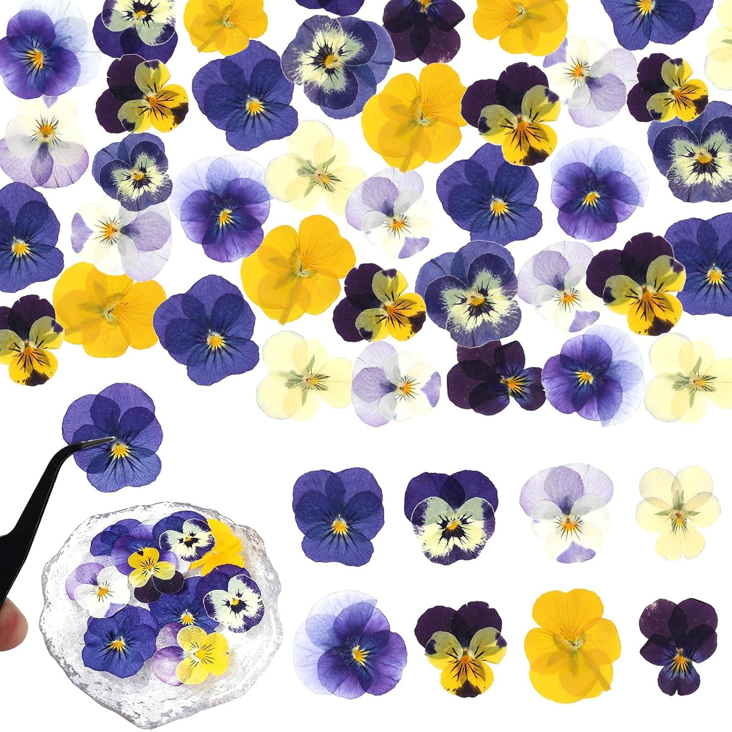 48 Pcs Natural Dried Pressed Flowers for Cake Topper Decorating - Mix Viola Tricolor for Cupcake Toppers, Cocktails, Resin Jewelry Making, DIY Art Crafts