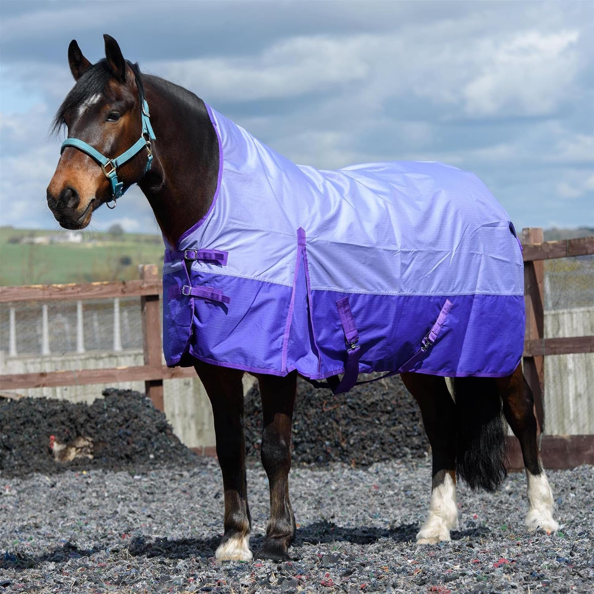 eQuitack 600D Lite Horse Turnout Rug, 6’9” – Standard Neck, Waterproof, Lightweight Turnout Rug for Horses 0g No Fill Turnout Rug, Adjustable Leg Straps, Lavender/Purple — image 1
