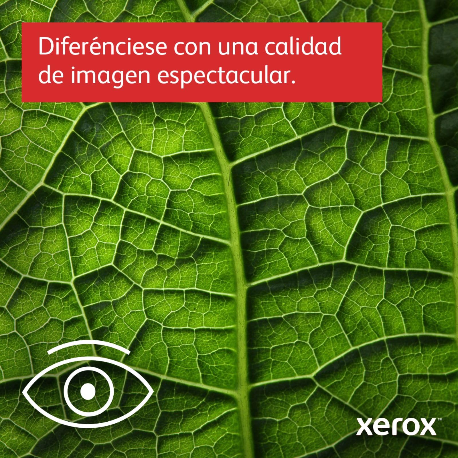Xerox C230dni A4 22ppm Color Impresora Láser Inalámbrica con Impresión Dúplex a dos Caras (2 años de garantía)