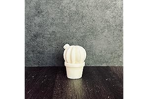 Cactus Candle, Handmade Organic Soy Wax Scented Candle for Bread Making