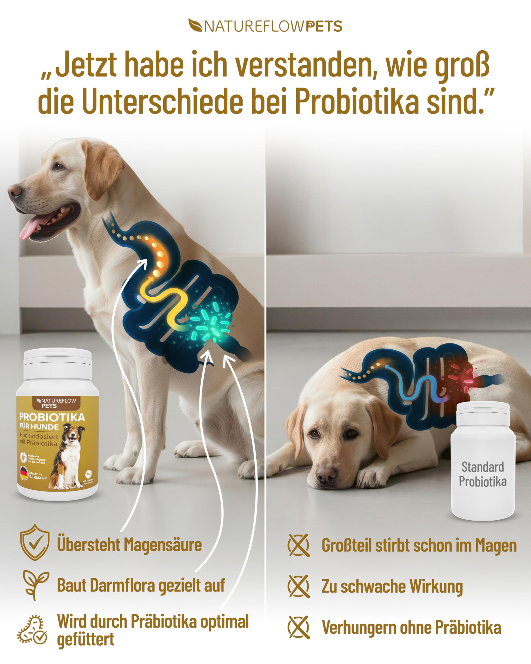 Probiotici Cani – Integratore Digestivo Naturale – Probiotici Cane per Salute Intestinale – Benessere Quotidiano con Probiotici per Cani BAU – 120 Compresse