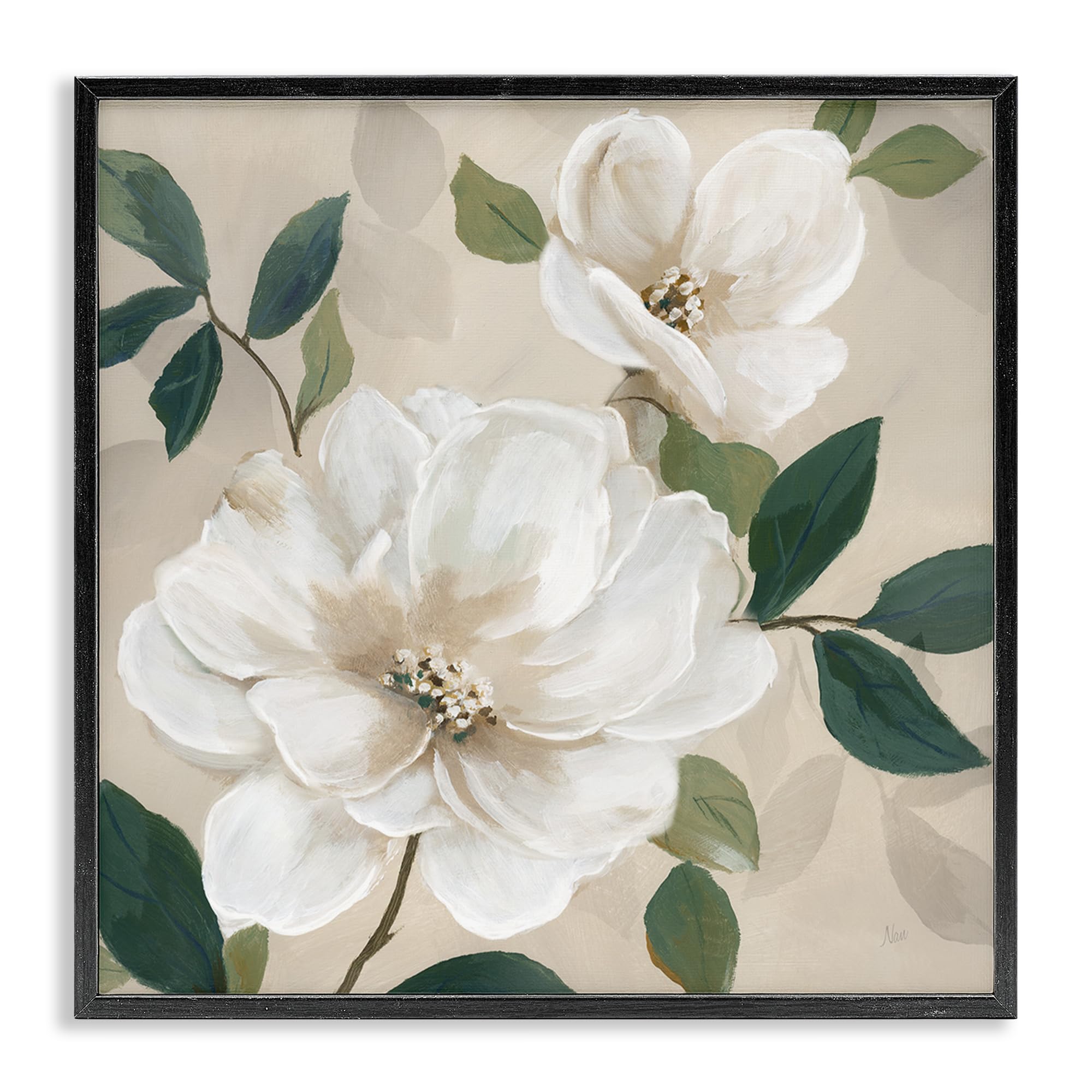 Stupell Industries 'Serene White Magnolia Study', Framed Giclee Art, Black, 17 x 17 Inches, Easy to Hang and Sturdy, Made in USA, by Nan