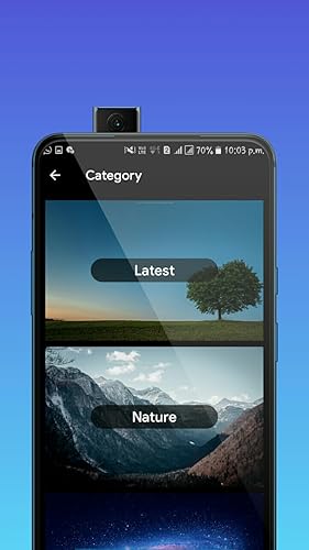 WallpaperX - HD Wallpaper & 4K Wallpapers