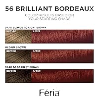 Vista 234 de L'Oreal Paris Feria Tinte permanente brillante multifacético, 721 Dusty Mauve, paquete de 1 10 negro azabache (negro más negro)