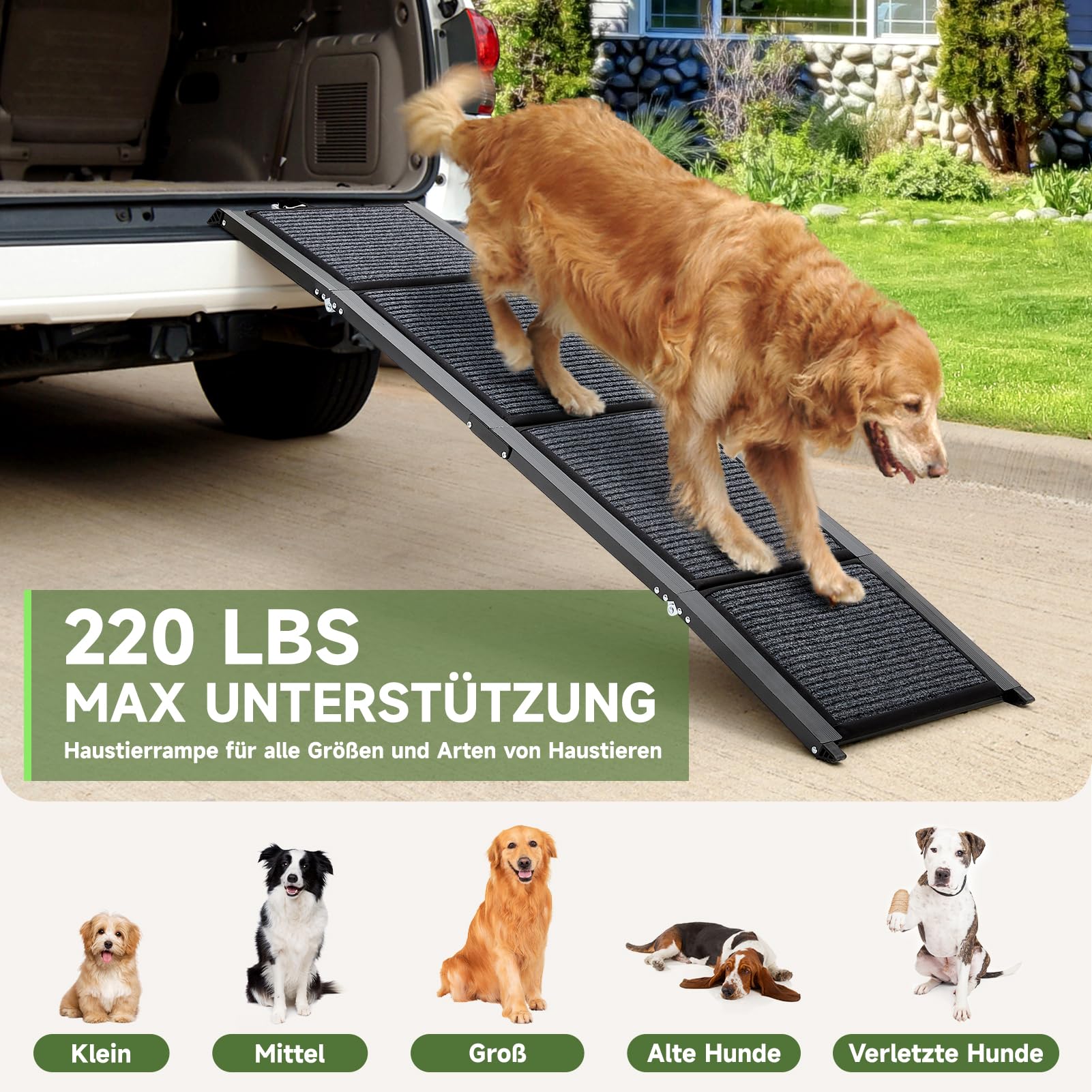 The Fellie Große Hunderampe Auto Klappbar 160CM, Hundetreppe Mit Rutschfester Teppichoberfläche Für Große, Mittlere Und Kleine Hunde, Tragbare Hunderampe Für SUV & LKW, Hundetreppe Bis Zu 100KG
