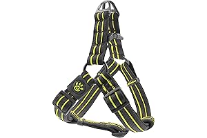 Solar Air Step-In Reflective Mesh Dog Harness For Walking
