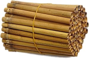 Bamboo Tubes for Mason Bees: Natural Bee Nesting and Cocoon Harvesting