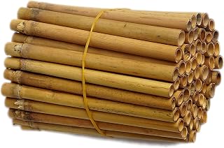 IA Crafts Natural Bamboo Tubes for Mason Bees - 60 Pack, 5.9" Long, 0.27-0.40" ID, Easy-Split for Cocoon Harvest