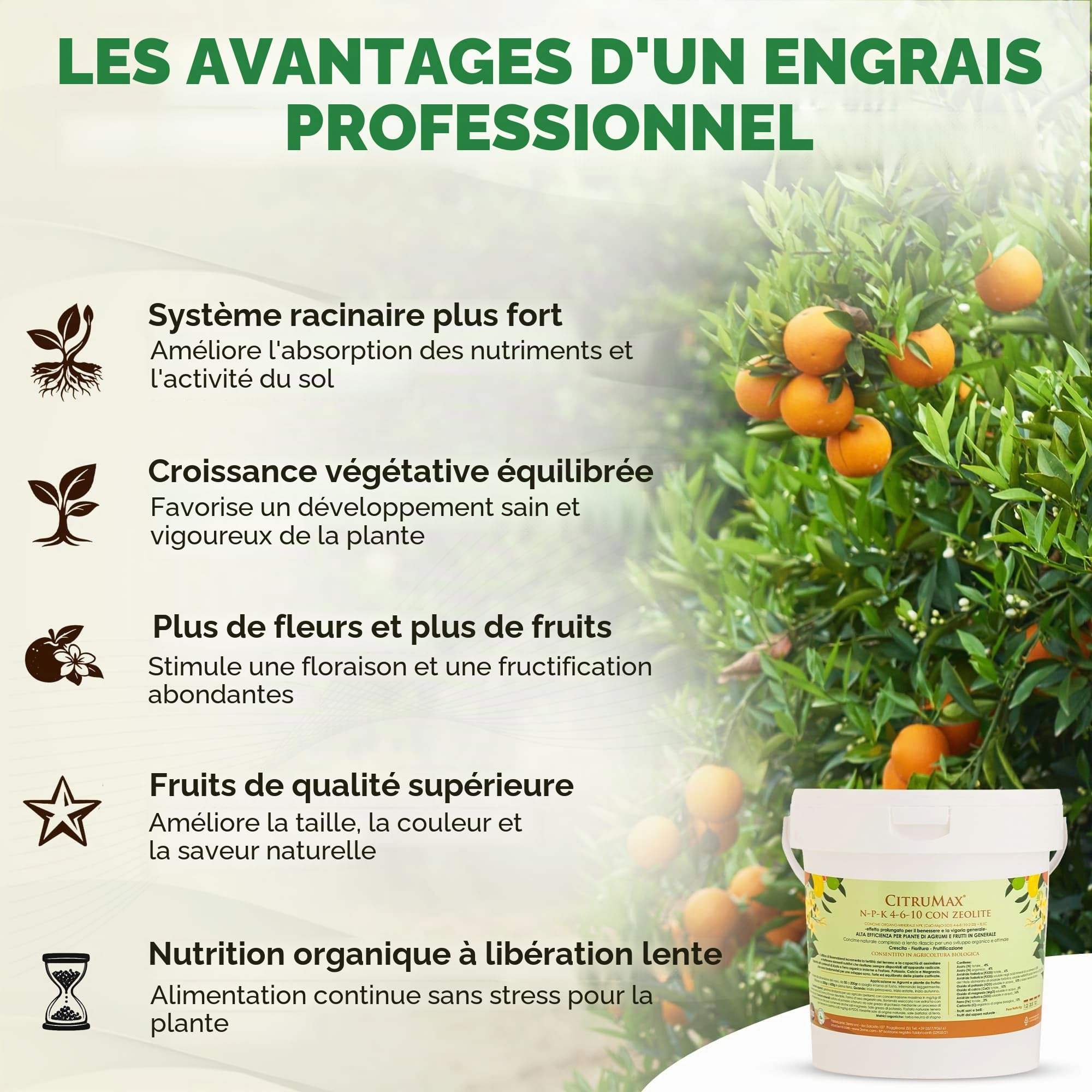 CITRUMAX Agrumes BIO engrais N-P-K granulaire 4-6-10 azote + phosphore + potassium + fer + magnésium + calcium (Limoni-Mandarini-orange--Kumquat) Culture biologique de haute qualité (3,5 kg)