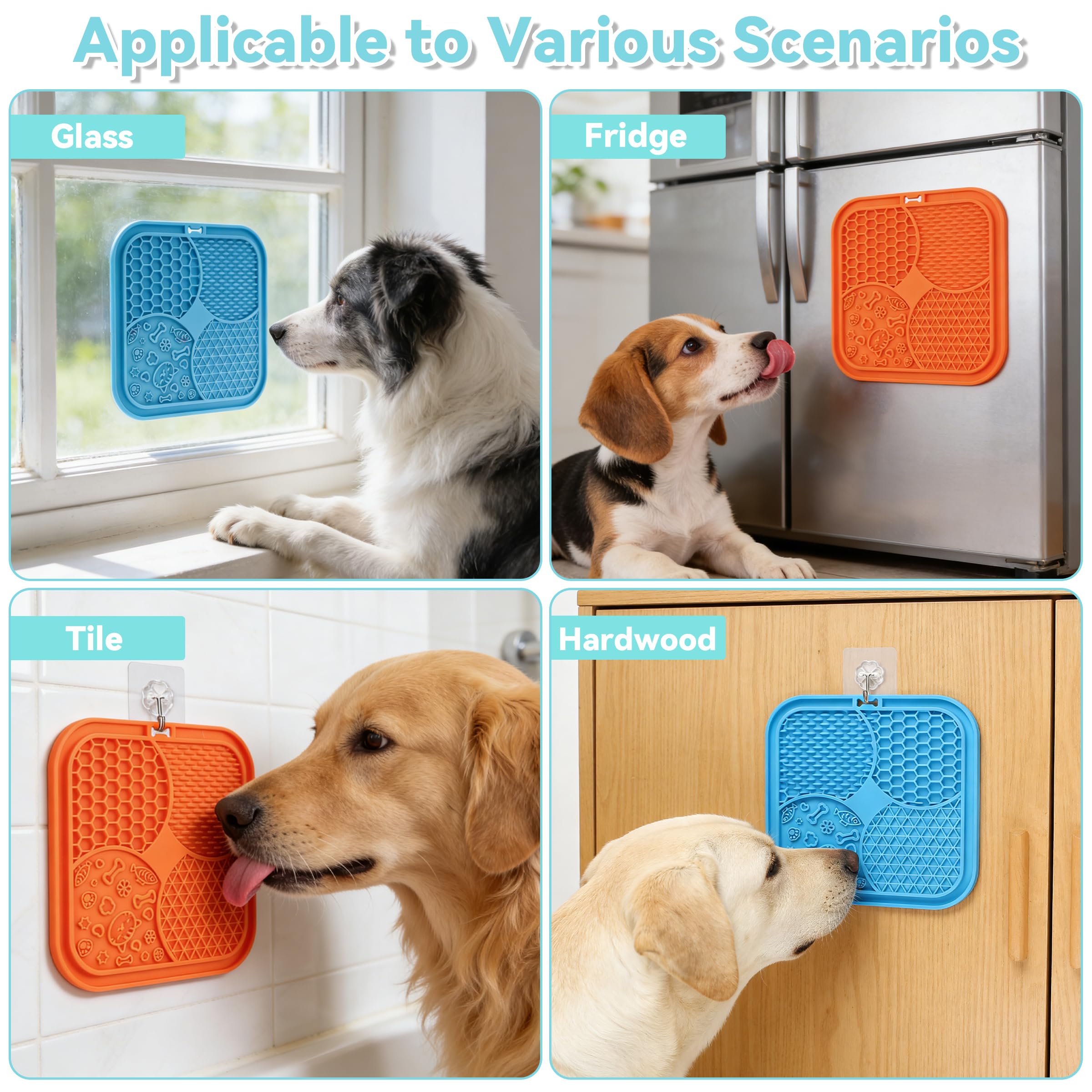 View 6