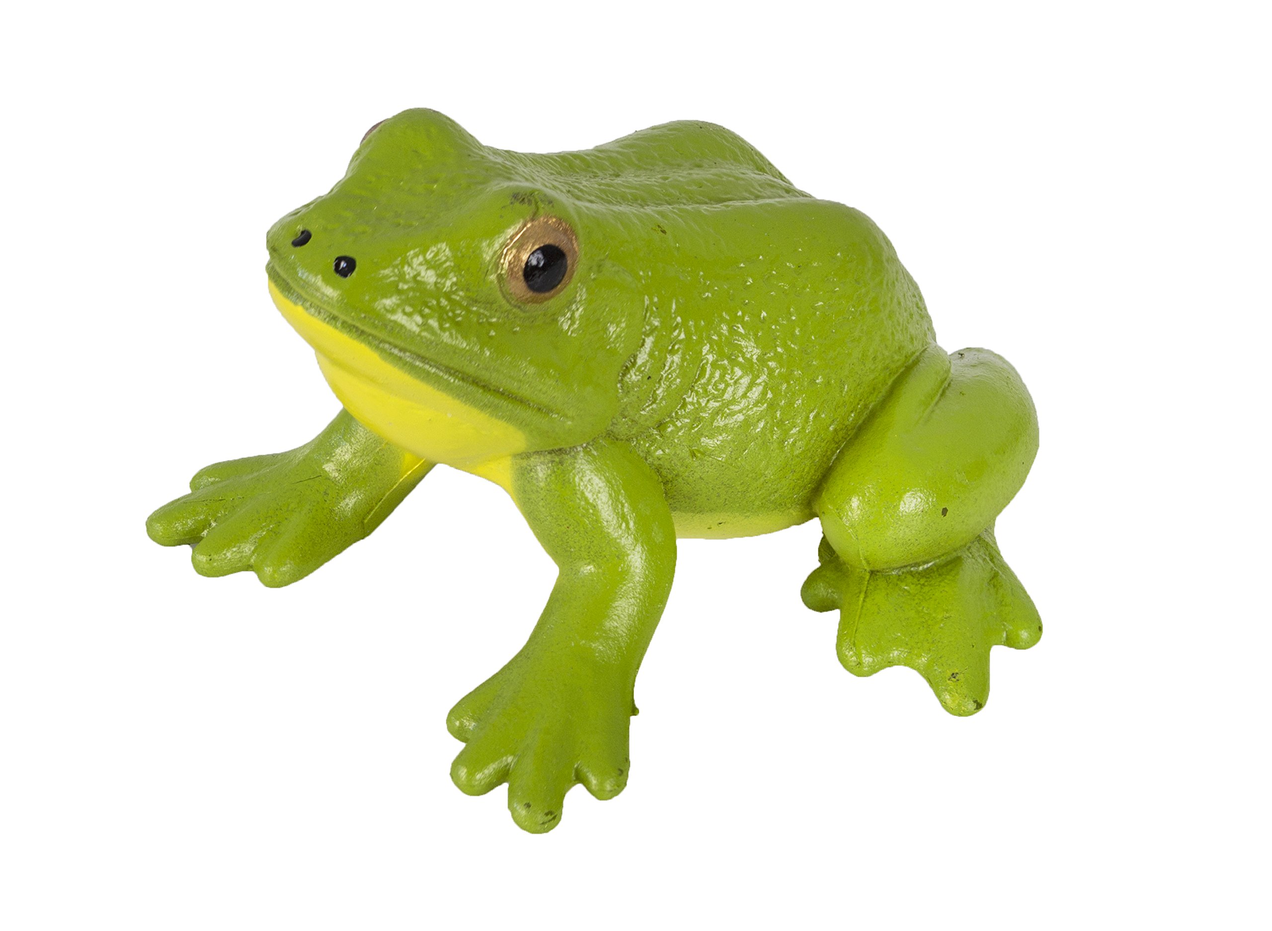 Buy Safari Ltd Life Cycle of a Frog Online at desertcart INDIA