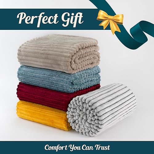 Miniatura 9 de PAVILIA Manta de cama de forro polar suave tamaño Queen, color negro, manta grande de franela de felpa, cálida y acogedora manta de microfibra