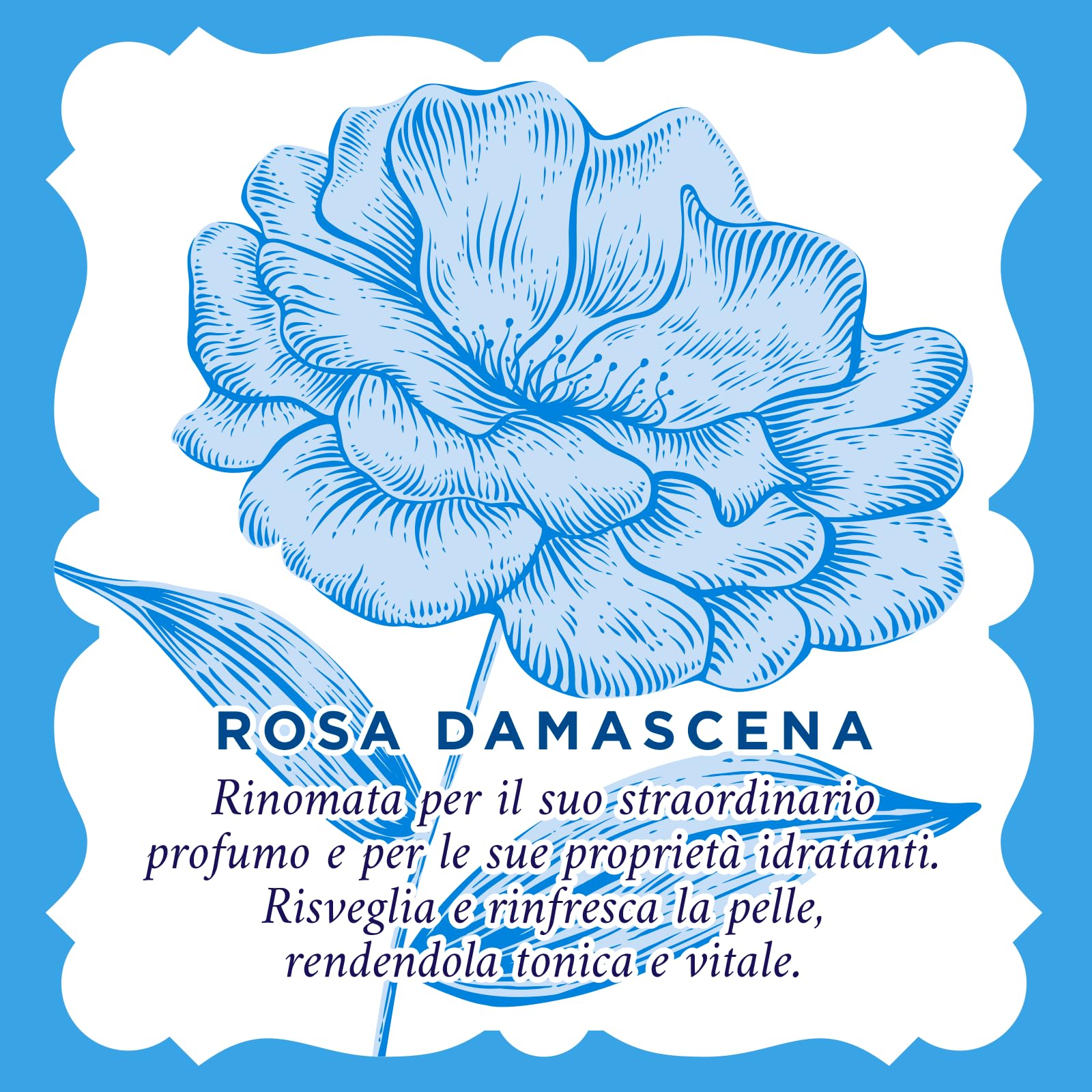 Acqua alle Rose, Kit Routine Viso Rinfrescante, per Tutti i Tipi di Pelle, contiene Tonico Rinfrescante, Acqua Micellare, Crema Idratante, Salviettine Struccanti e Acqua Spray - Esclusiva Amazon
