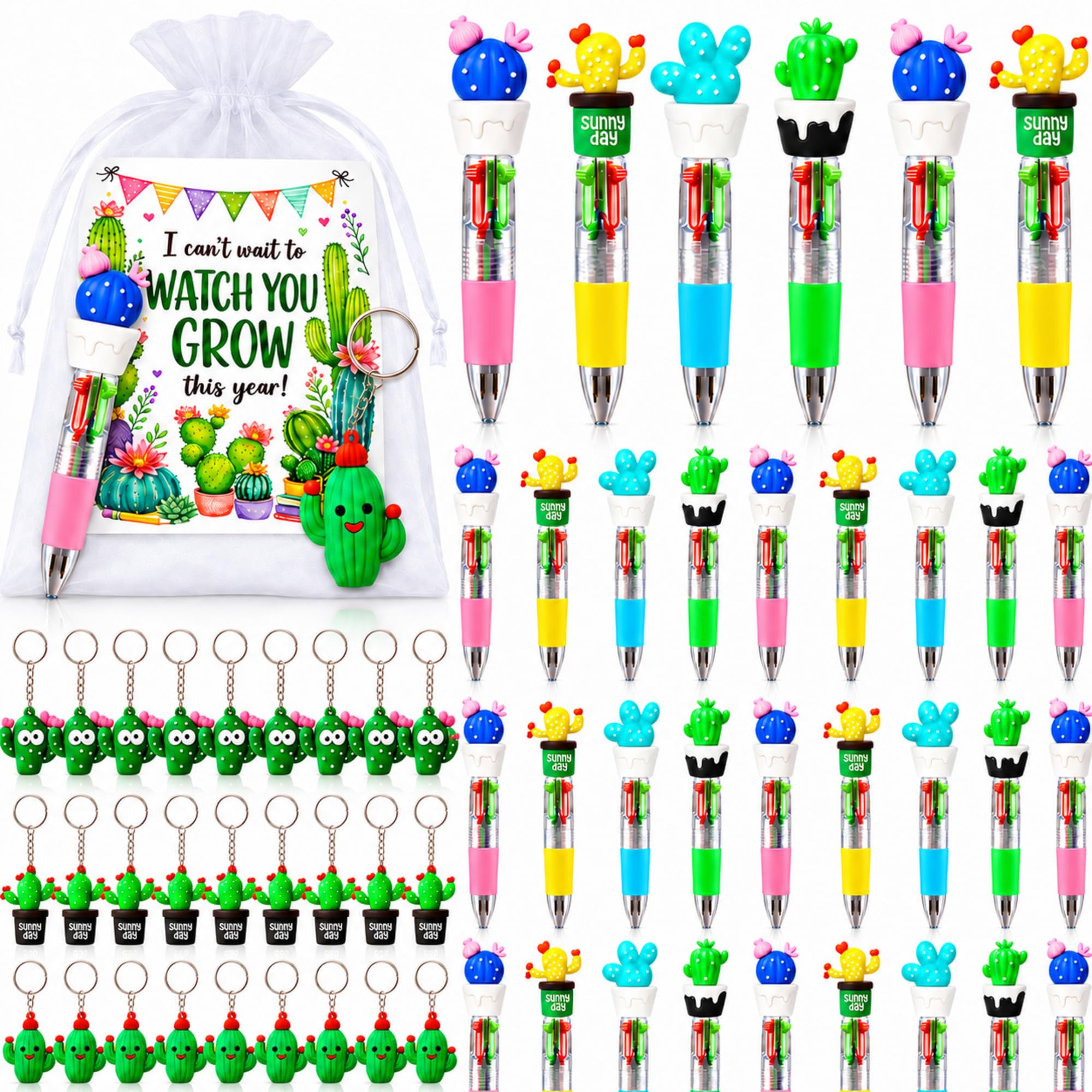 Lot de 48 cactus pour la rentrée scolaire, cadeaux pour étudiants, stylos