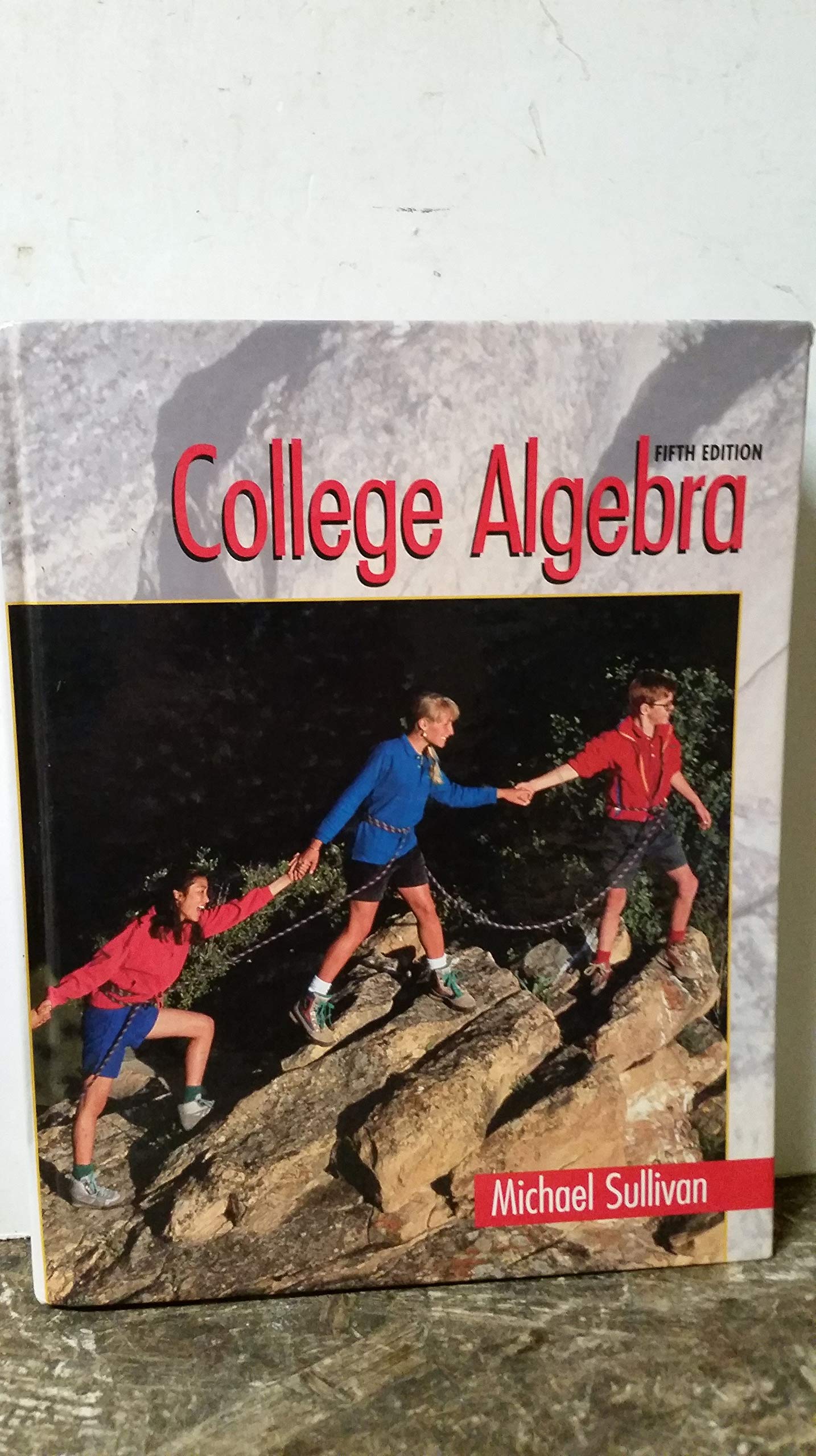 College Algebra: Sullivan, Michael: 9780130800053: Books - Amazon.ca