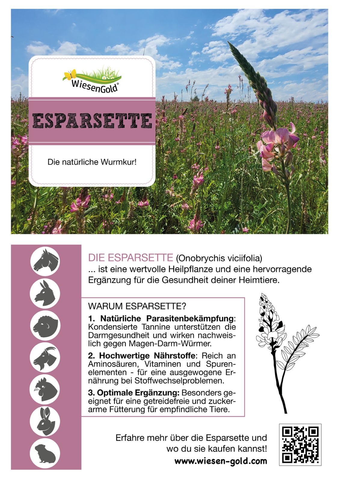 Esparsette Cobs Bio (20kg), WiesenGold® Bio-Esparsette Pellets/Cobs – Premium Pferdefutter, naturnaher Anbau, Heimtierfutter, natürliche Wurmkur