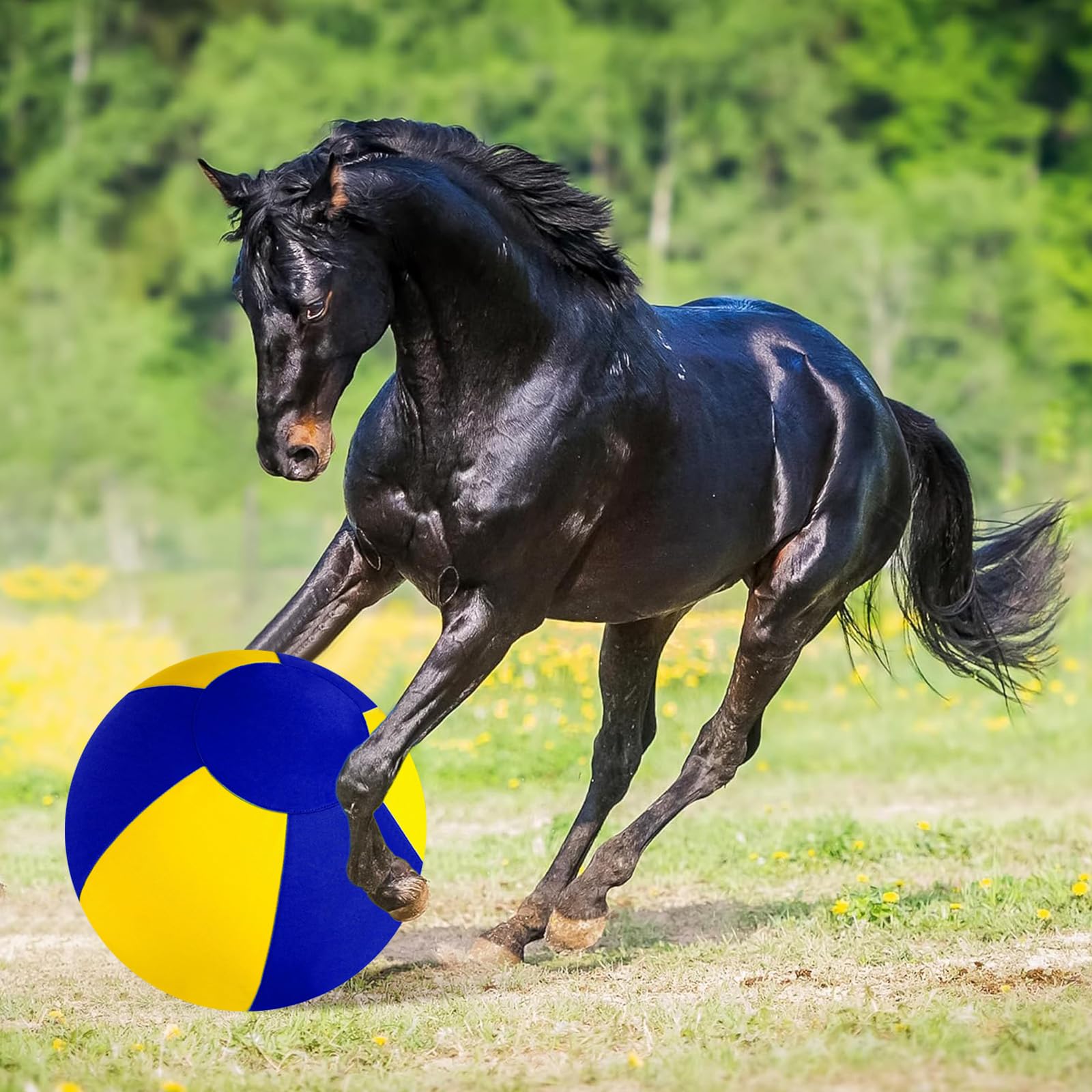 Palla da pastore cani con copertura protettiva e giocattolo per addestramento del cane con pompa per pastore border collie, addestramento all'aperto e gioco in cortile (55 cm giallo blu)