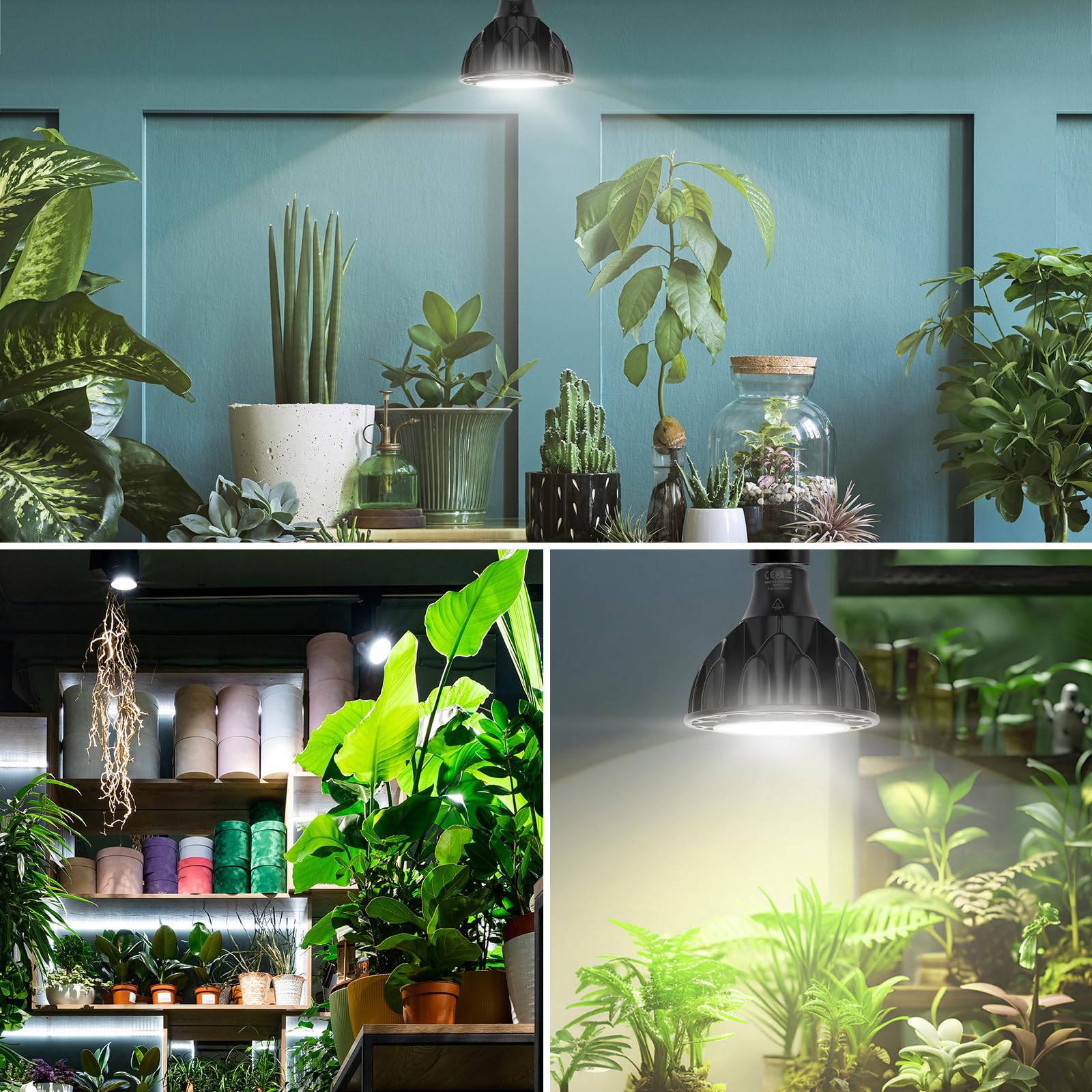 Qoolife 36W Planta Lámpara Led Full Spectrum, E27 Lámpara de Crecimiento con alta PPFD Crecer Lámparas, 6000K LED Planta de Luz para Plantas de Interior, Invernadero Jardín Negro