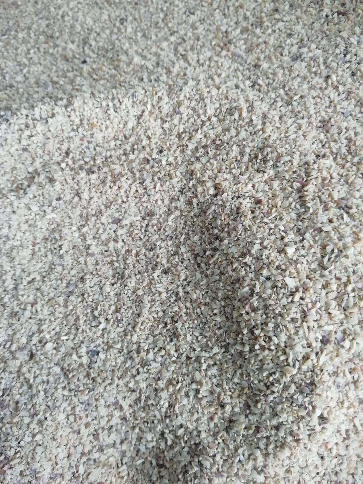 Sabbia CALCAREA per Acquario Marino 100% Naturale (3 Sacchi 5 kg Media)