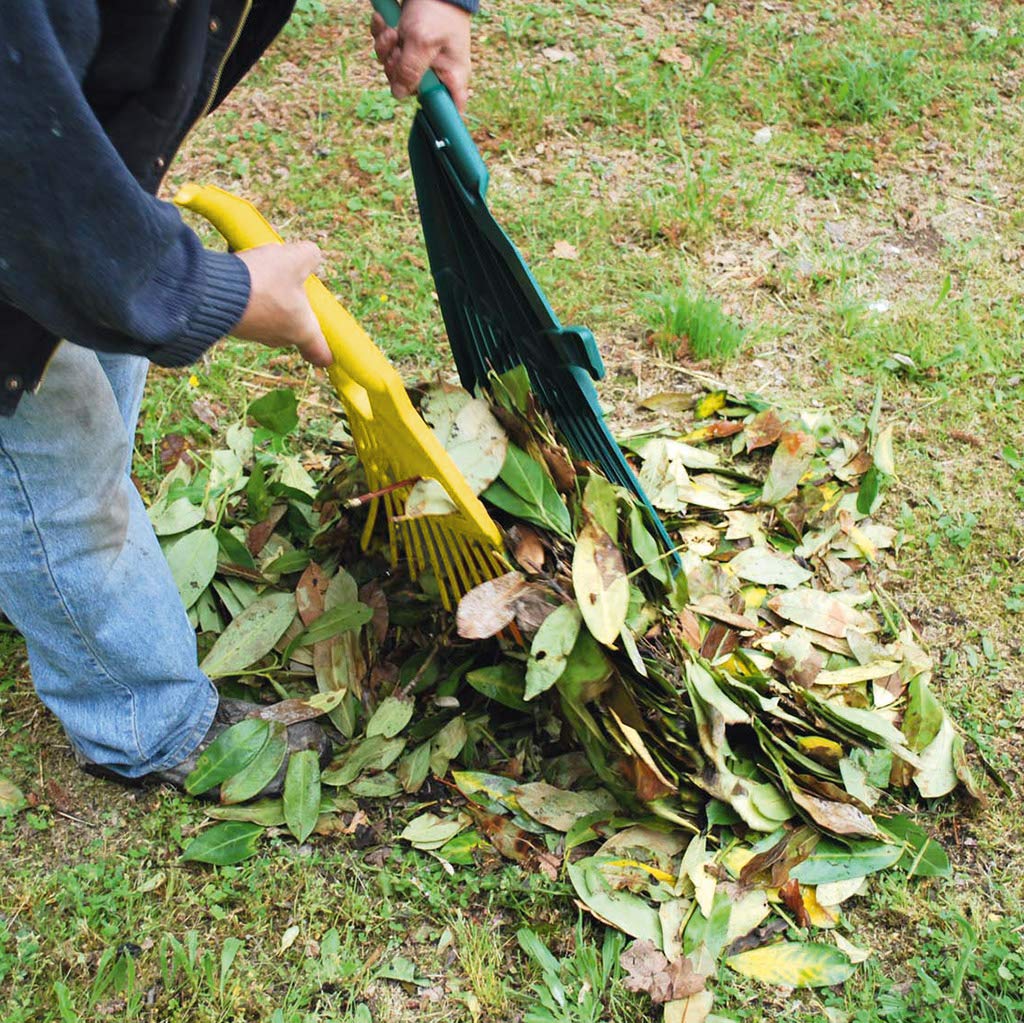 Gardi Rex Aspiratore per Foglie con Manico telescopico – rastrello – rastrello – rastrello – Scopa – rastrello – rastrello – Scopa a ventaglio – Attrezzi da Giardino (85 – 146 cm)