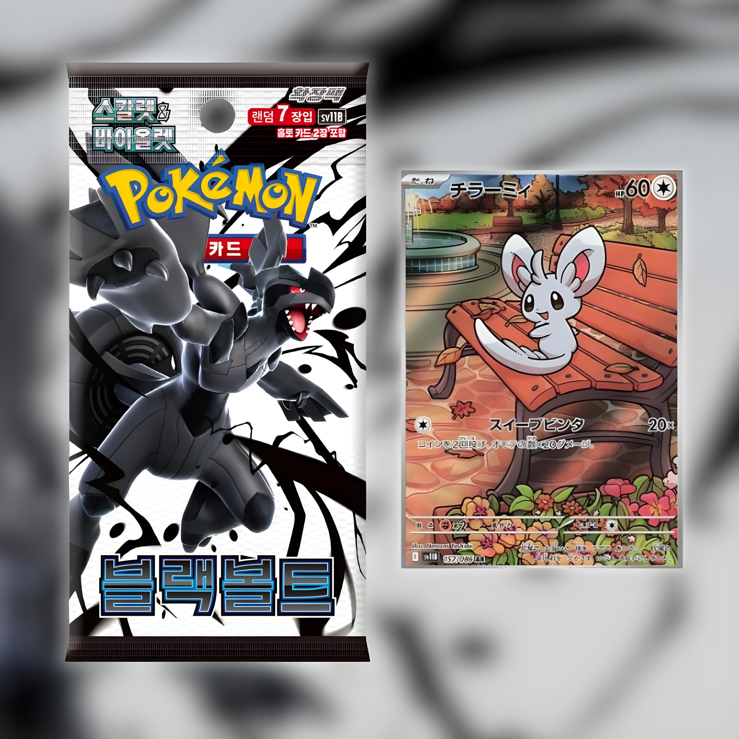 Pokemon TCG Black Bolt SV11B Korean Booster Packs x5 | Korean Pokémon Cards  | Scarlet & Violet Series | 7 Cards per Pack