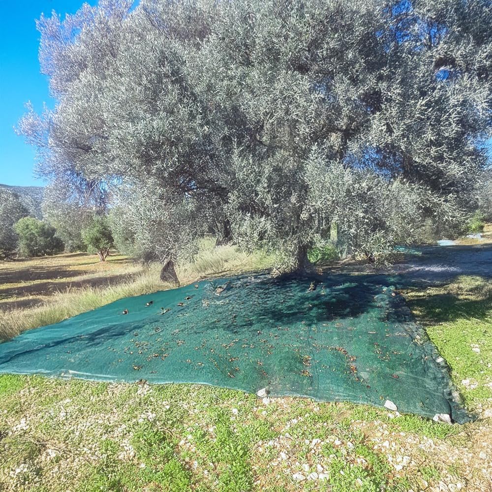 Zeytin Toplama Filesi -%75'lik Yeşil File - Zeytin Sergenliği - Ceviz ve Dut Toplama Filesi - 5 M x 3 M