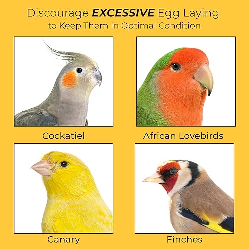 Miniatura 5 de SunGrow Huevos de madera falsos para entrenar a las aves de la colocación en las cajas de anidación y para dejar de comer huevos propios, color