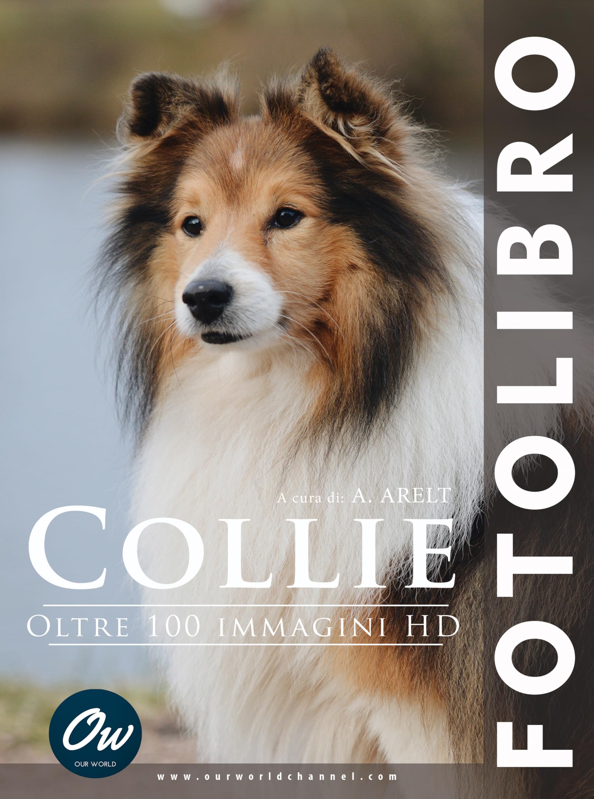 Livre de photos de Collie pour décorer votre salon avec 100 magnifiques clichés HD