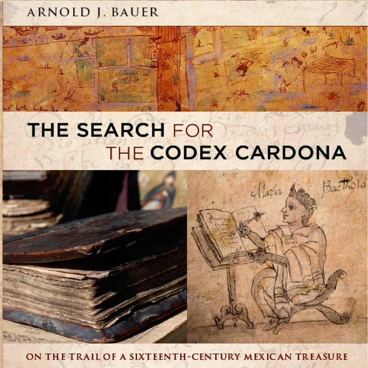 Cover art for The Search for the Codex Cardona