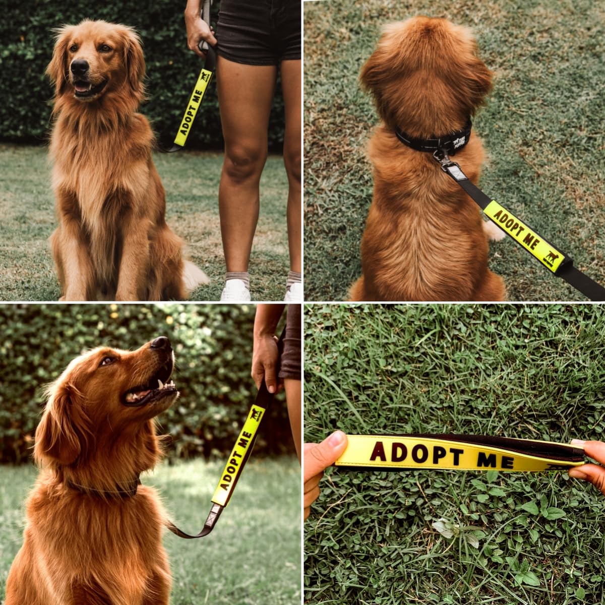 Tuff Pupper Waterproof Leash Sleeve | Fits Any Standard Size 1 Inch Wide Leash | Dual Sided Message | Durable Neoprene & Silicone | Odor & Stink Proof | Easy Secure On & Off (1 Pack, Adopt Me) - 5