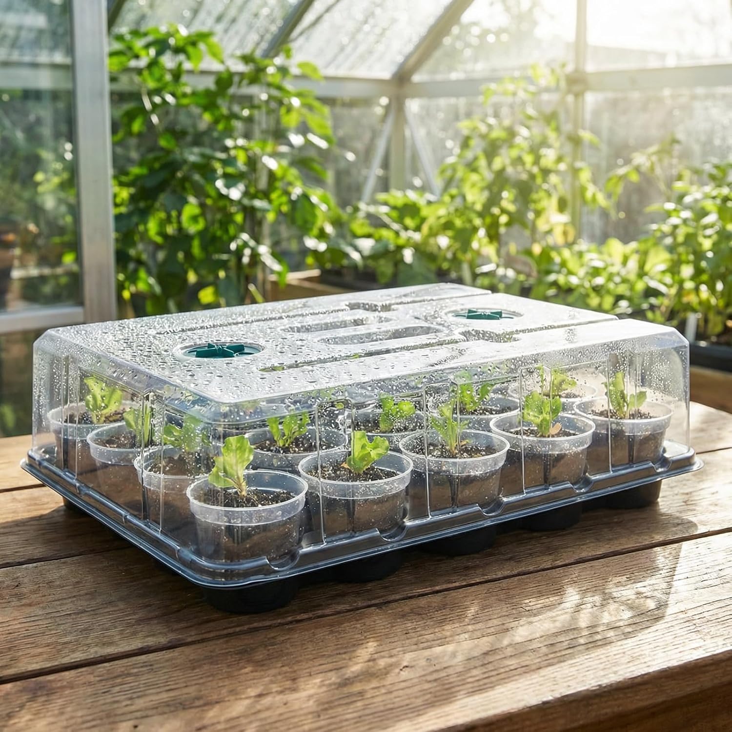 homenote 3 Inch Seed Starter Trays 2 Pack,20-Cell Seedling Starter Trays with Grow Light/Humidity Dome/3" Nursery Pots 40 Pcs,Planting Trays for Seedling,Plastic Germination Kit for Growing