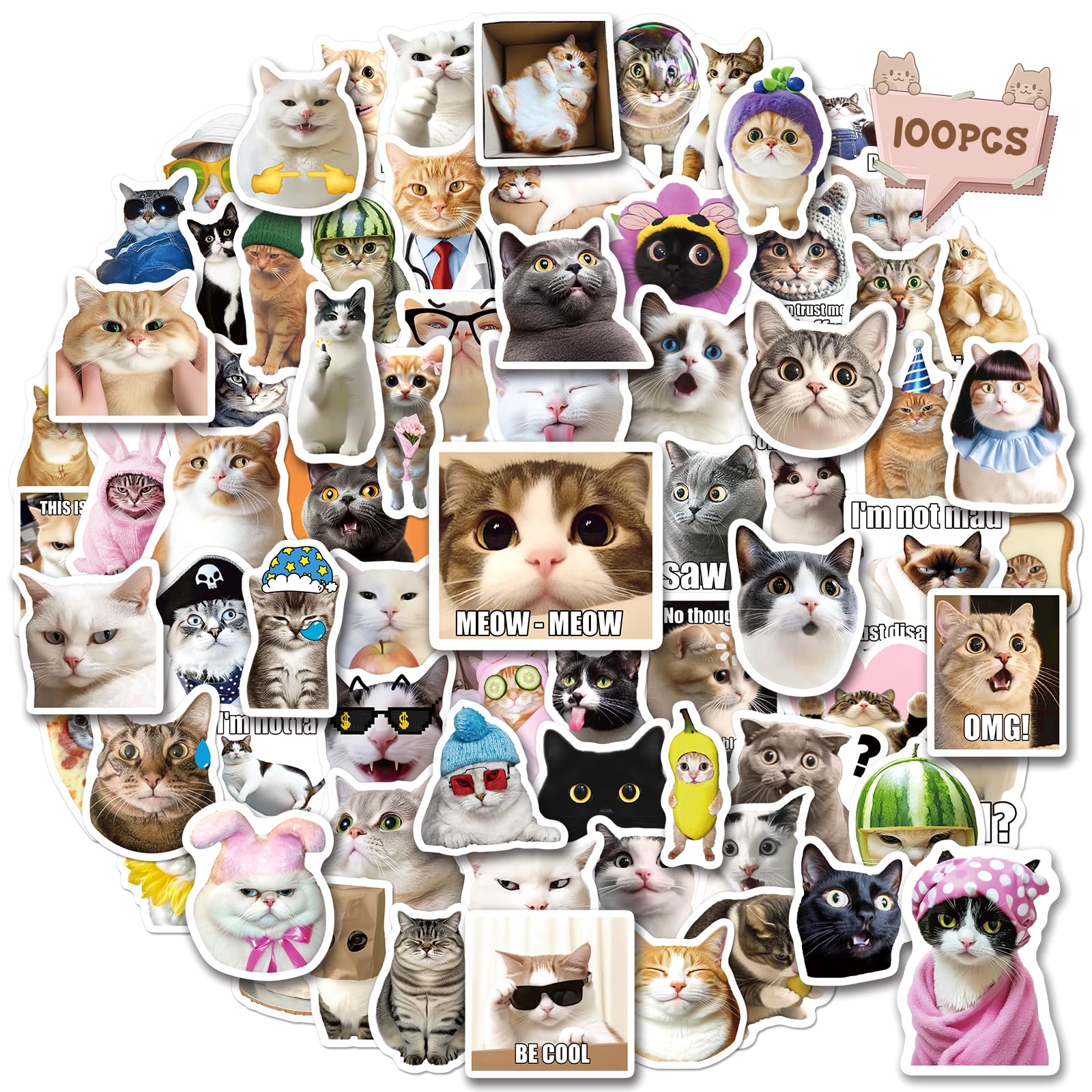 MonEnfance 100 PCS Cat Meme Stickers, Funny Cute Cat Stickers for Water Bottle Laptop Journal Luggage, Vinyl Waterproof Decals Bulk for Adults Girls