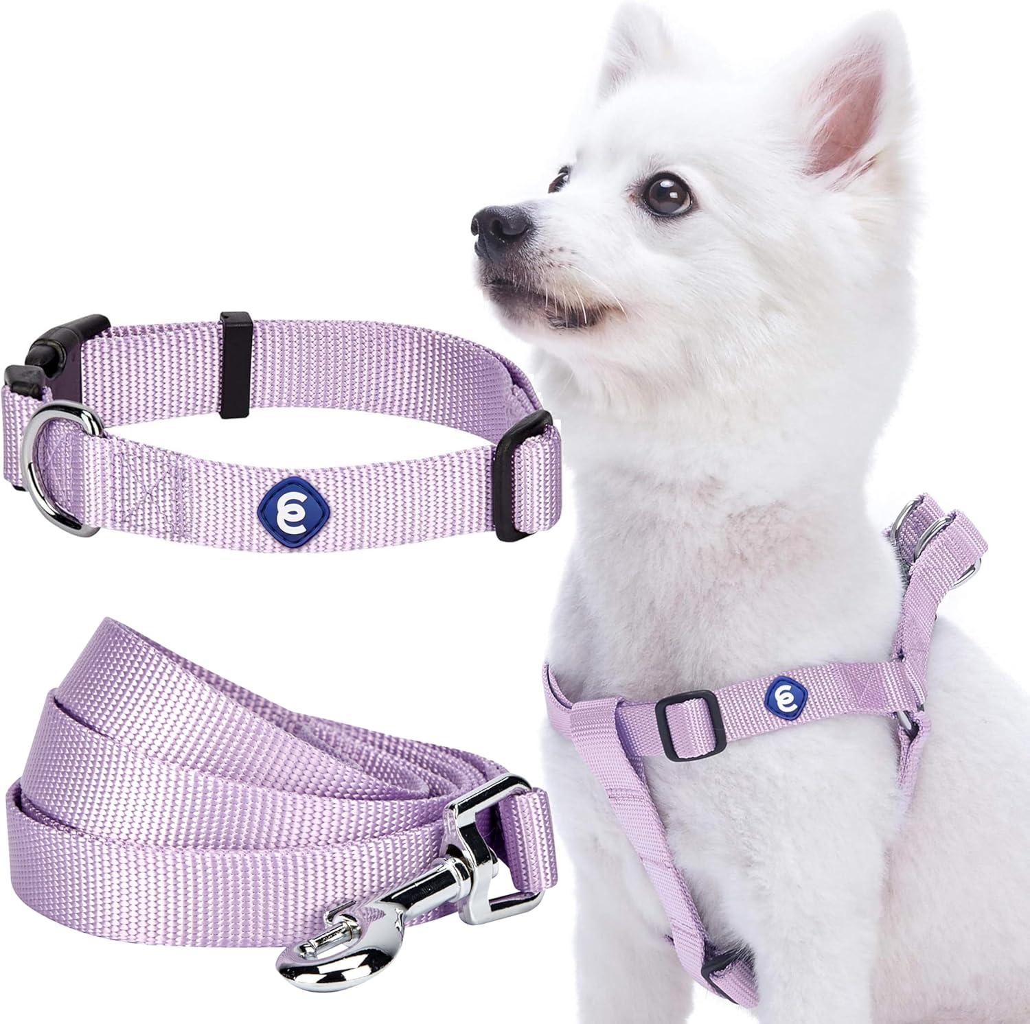 Blueberry Pet Essentials Matching Dog Collar Leash Harness