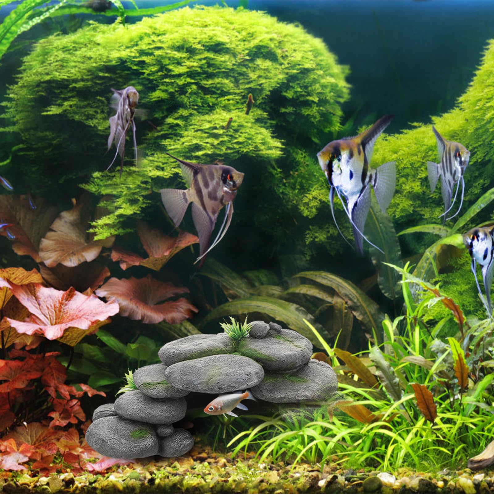 Acquario, grotta per acquario, pietre per tartarughe, accessori in resina, terrario, decorazione rettile, nascondiglio per acquario, decorazione per tartarughe, Axolotl, gamberetti