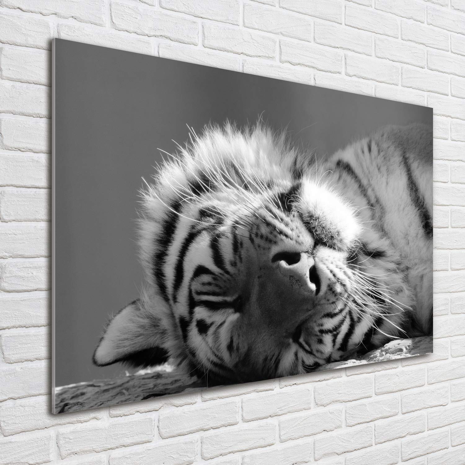 Tulup Impression sur Verre de 100x70 cm Image Tableau Photo décorative panoramique pour la Cuisine et Le Salon - Animaux - Tigre Endormi - Noir et Blanc