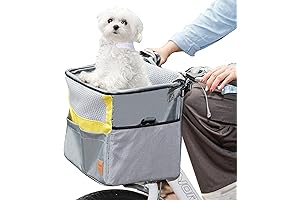 HEMERA - Your Trusty Companion for Furry Adventures