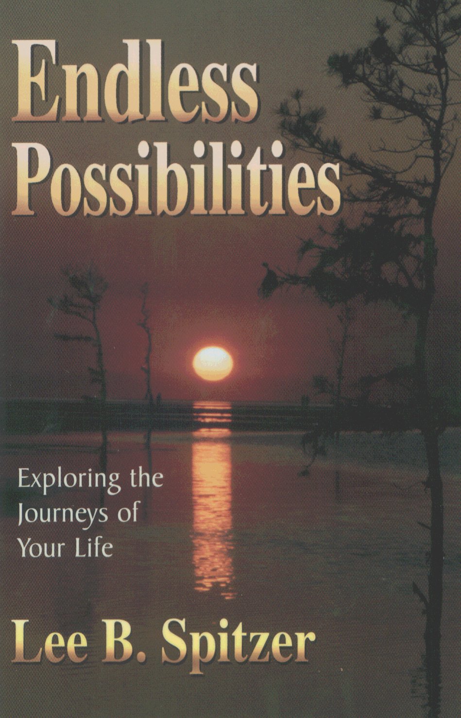 Endless Possibilities: Exploring the Journeys of Your Life