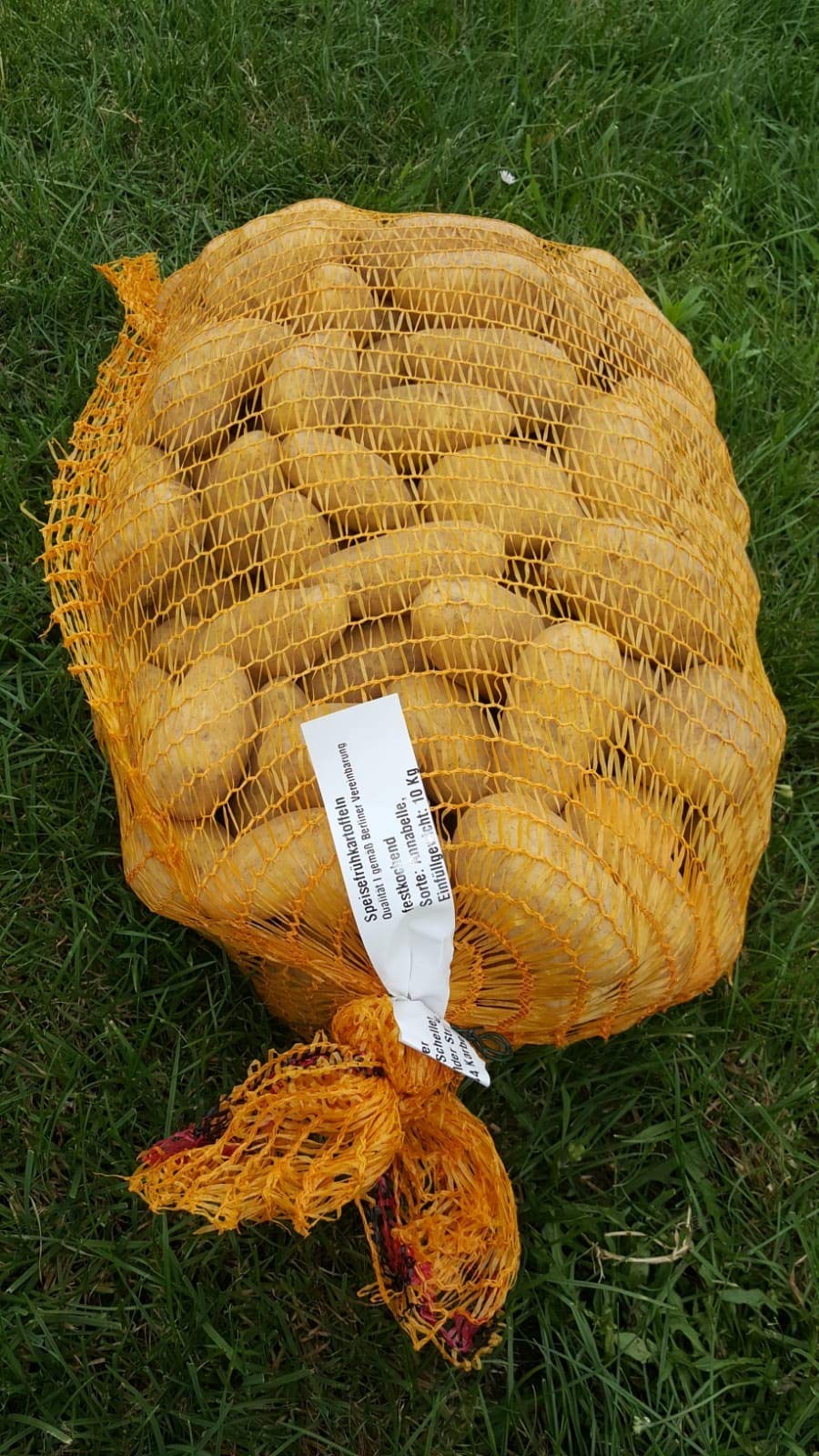 Wetterauer Frühkartoffeln im handlichen 10Kg Sack- Annabelle- vorwiegend festkochend