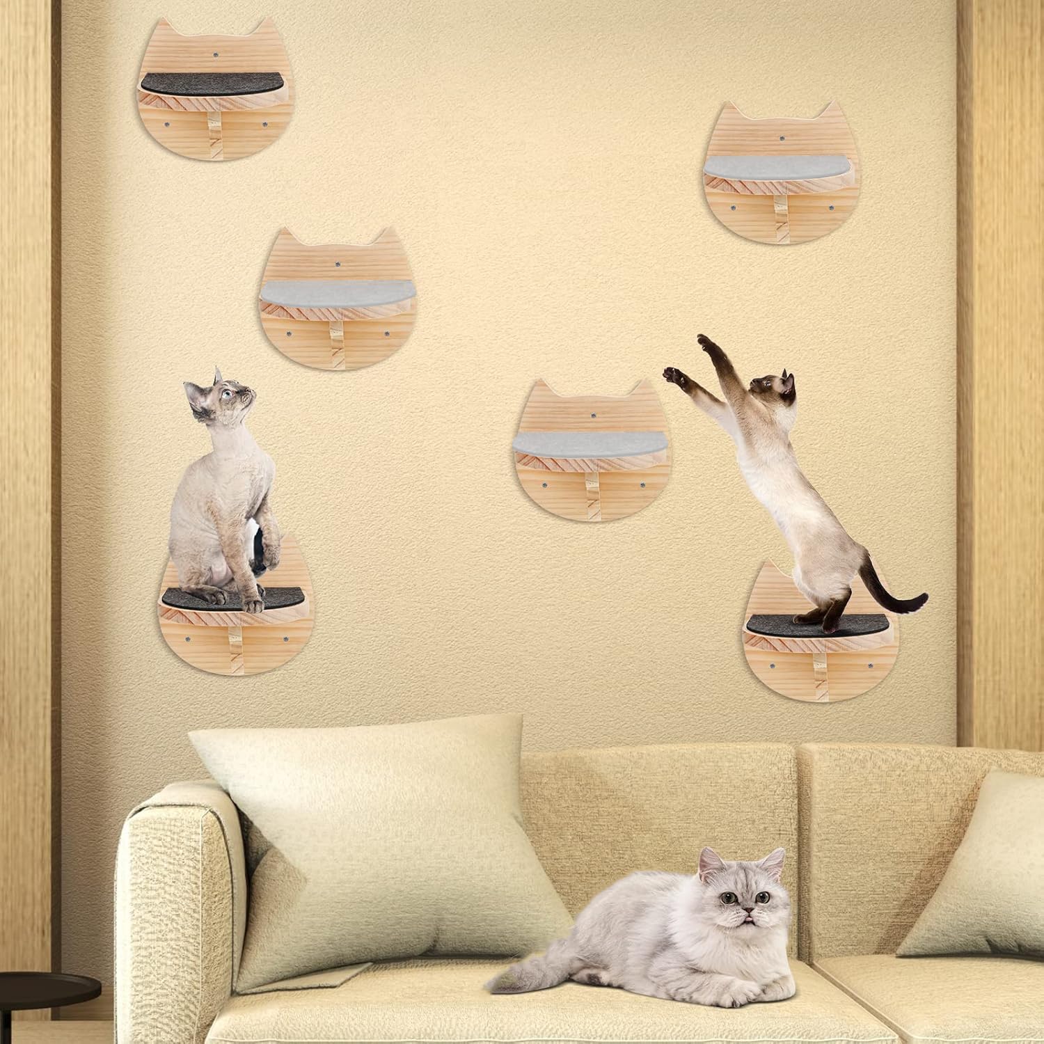 kletterwand Katzen Wand montierte Katze-Hängematte ﻿Katze Kletterwandmit Katzentreppe für die Wand, 3-teilig Katzen Kletterwand Set, Katzenhängematte XL Extra Stabil und Groß Stabiles Kratzbaum Wand